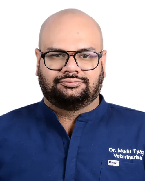 Dr. Mudit Tyagi